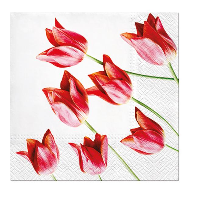 Paw Lunch Napkins 33cm Red Tulips-Marston Moor