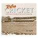 Retro Cricket-Marston Moor