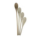 Avanti Wooden Spoons - 4 Piece Set (20.5Cm, 25.5Cm - 30.5Cm - 35.5Cm) 1