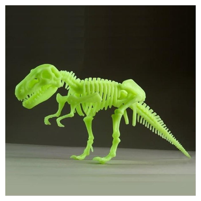 Holdson Edu Toys - Glow in the Dark T Rex Skeleton (25cm x 10cm)