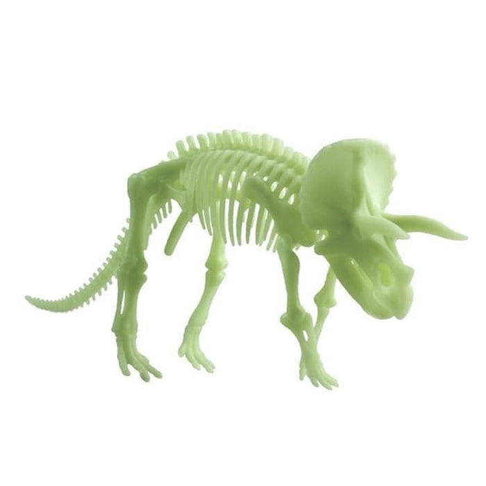 Edu Toys - Glow in the Dark Triceratops Skeleton (22cm x 10cm) 44049