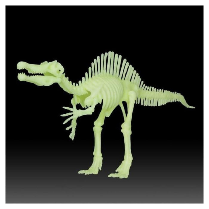 Edu Toys - Glow in the Dark Spinosaurus Skeleton (33cm x 16cm) 44056