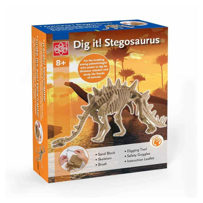 Holdson Edu Toys - Dig It! Stegosaurus 44101