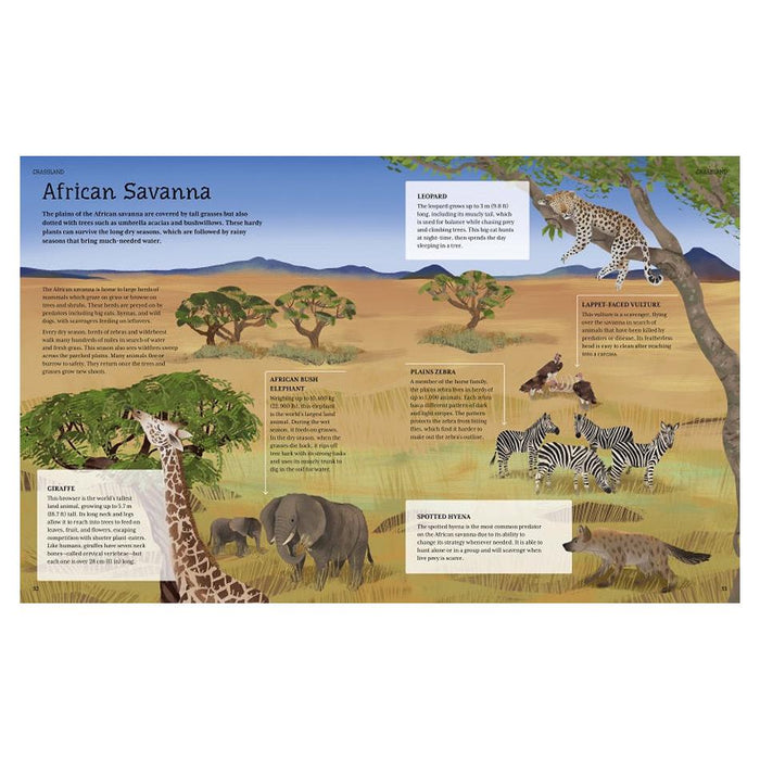 Illustrated Encyclopedia Of Animals