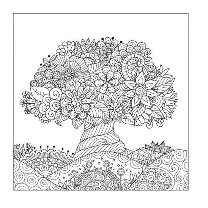 The Enchanting World Colouring Book