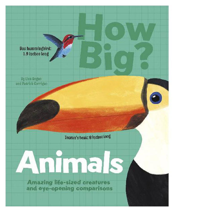 How Big  Animals