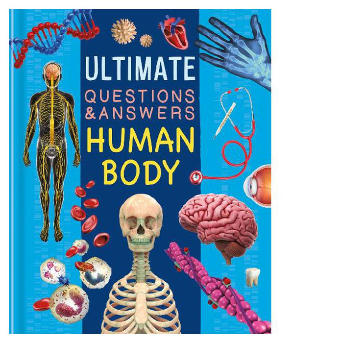 Ultimate Questions & Answers – Human Body