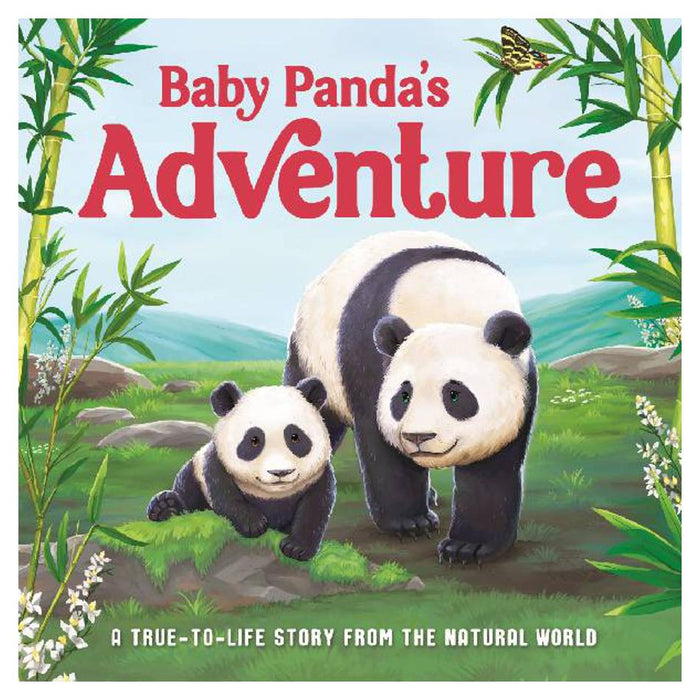 Baby Pandas Adventure Board
