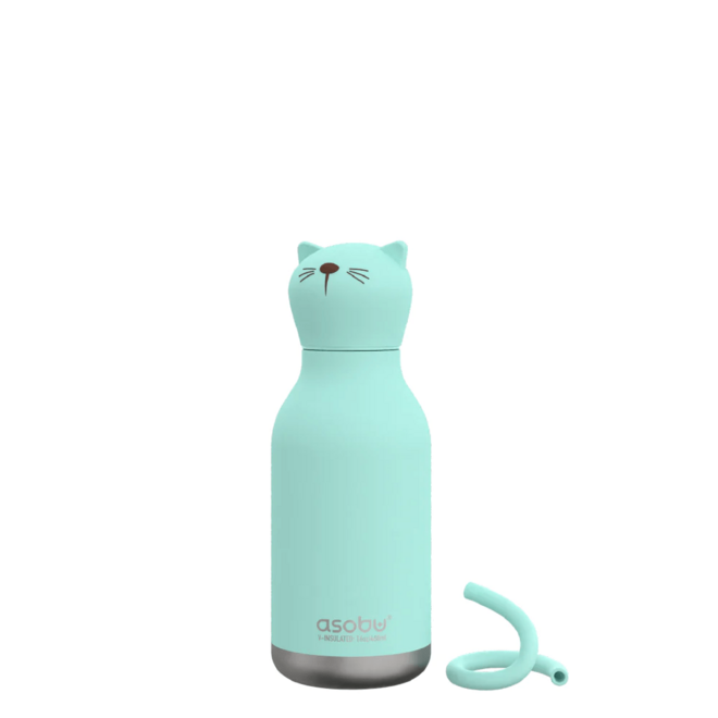 Asobu Bestie Cat Twin Wall Insulated Bottle 460ml Teal