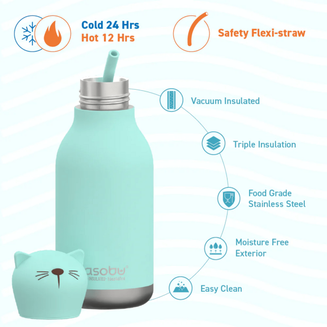 Asobu Bestie Cat Twin Wall Insulated Bottle 460ml Teal