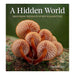 A Hidden World_1