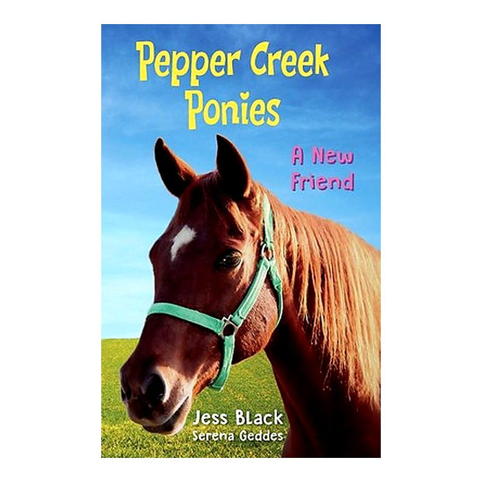 A New Friend - Pepper Creek Ponies_1