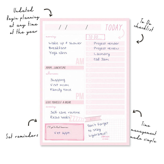Acme Carpe Diem Daily Planner Pad Ballerina Pink 100 Sheets_3