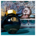 Acme Ferris Wheel Pen Ink 20ml Lapis Lullabies 1000009_2