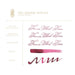 Acme Fountain Pen Ink 38ml The Sherry Sonata Magenta Berry_5