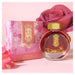 Acme Fountain Pen Ink Spadina Rose 38ml 1000049_2