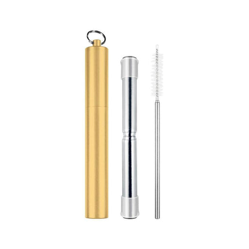Avanti Telescopic Travel Straw Champagne_1