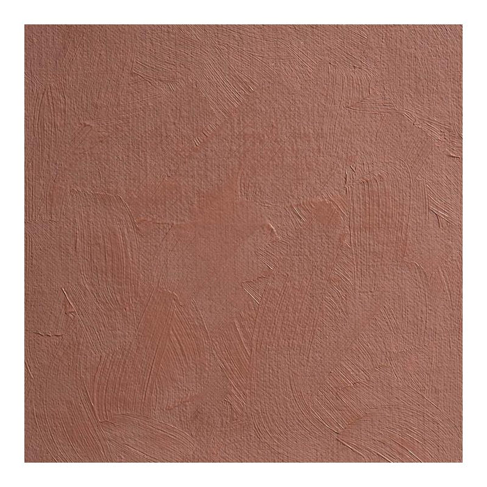 BLOCKX Oil Tube 35ml S1 141 Burnt Sienna Light C213141BXC_3