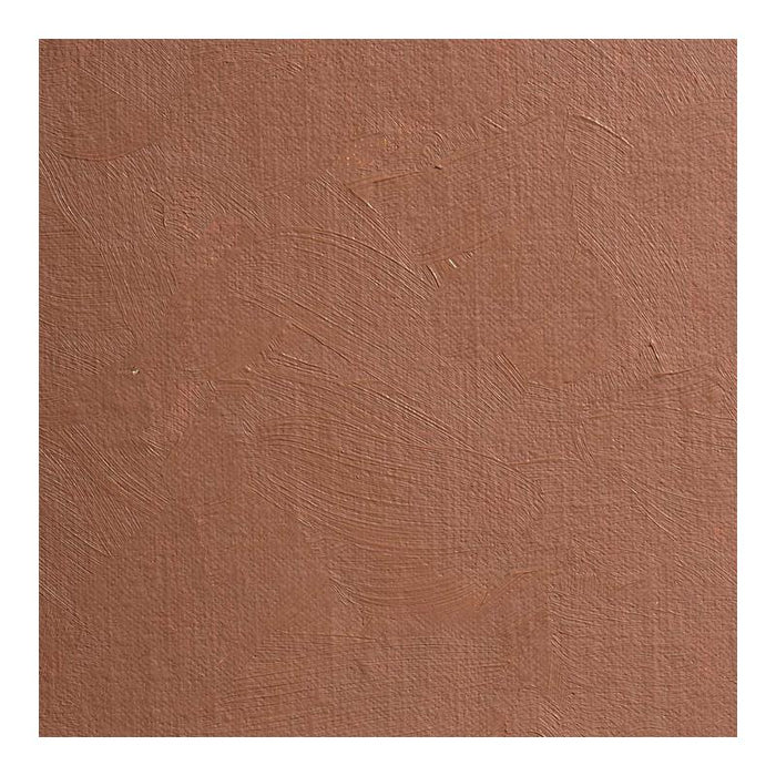 BLOCKX Oil Tube 35ml S1 145 Brown Ochre C213145BXC_3