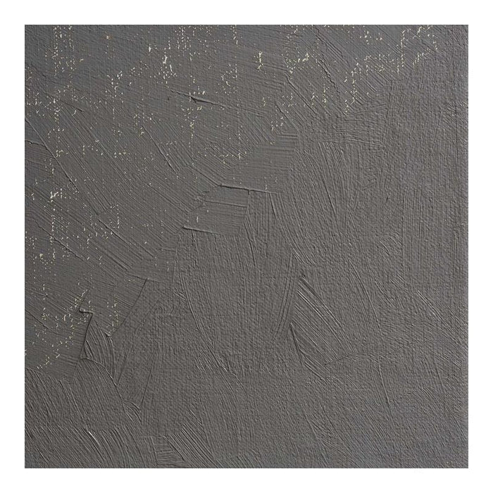 BLOCKX Oil Tube 35ml S2 273 Brownish Grey C213273BXC_2