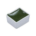 BLOCKX Watercolour Half Pan S1 164 Hookers Green C41164BXC_3