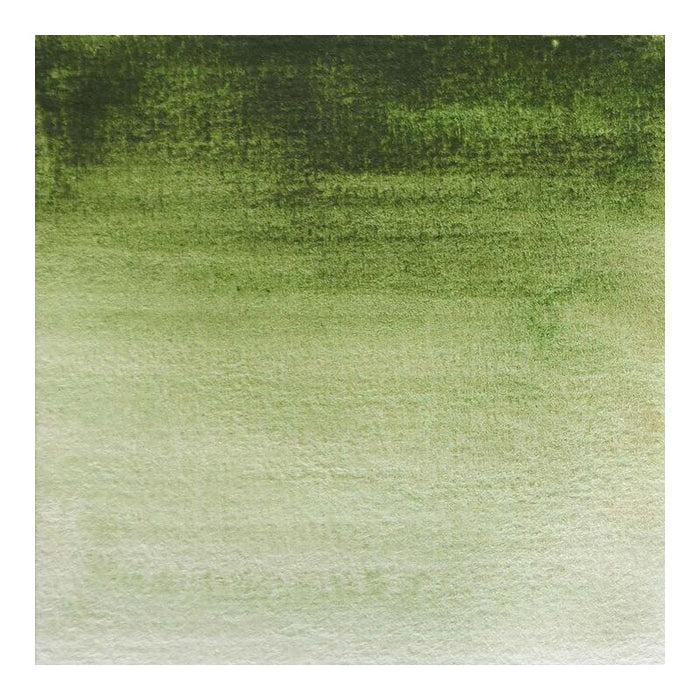 BLOCKX Watercolour Half Pan S1 164 Hookers Green C41164BXC_4