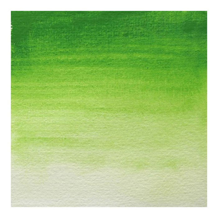 BLOCKX Watercolour Half Pan S3 361 Sap Green C41361BXC_4