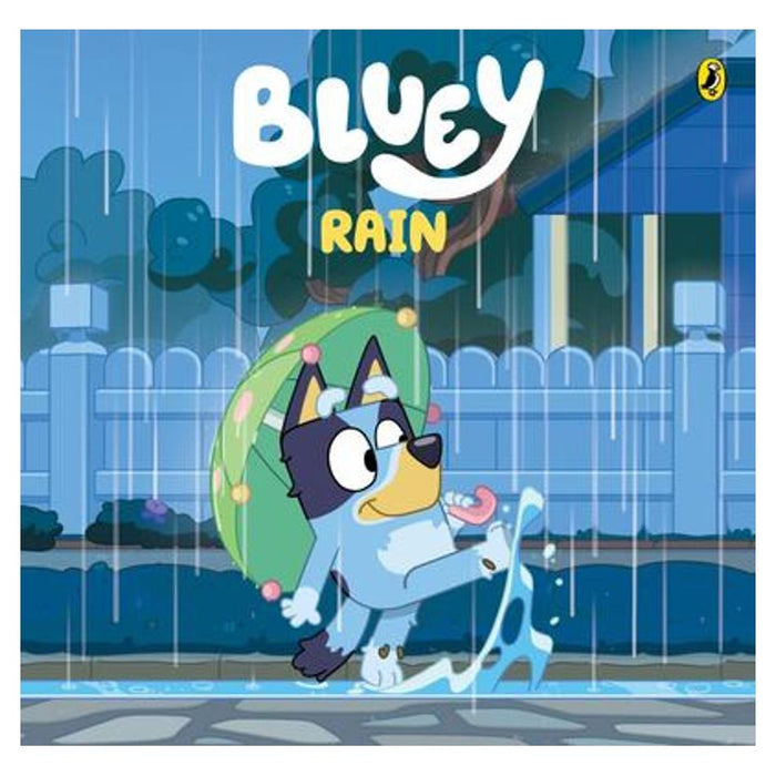 Bluey: Rain_1