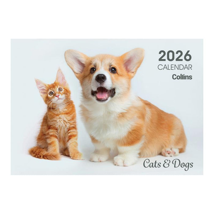 Collins A4 Wall Calendar Cats & Kittens 2024 11294613_1