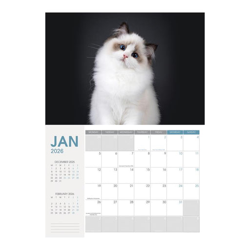 Collins A4 Wall Calendar Cats & Kittens 2024 11294613_2