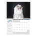 Collins A4 Wall Calendar Cats & Kittens 2024 11294613_2