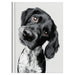 Collins A5 Cats & Dogs Journal - Undated Daily, Hard Cover_2