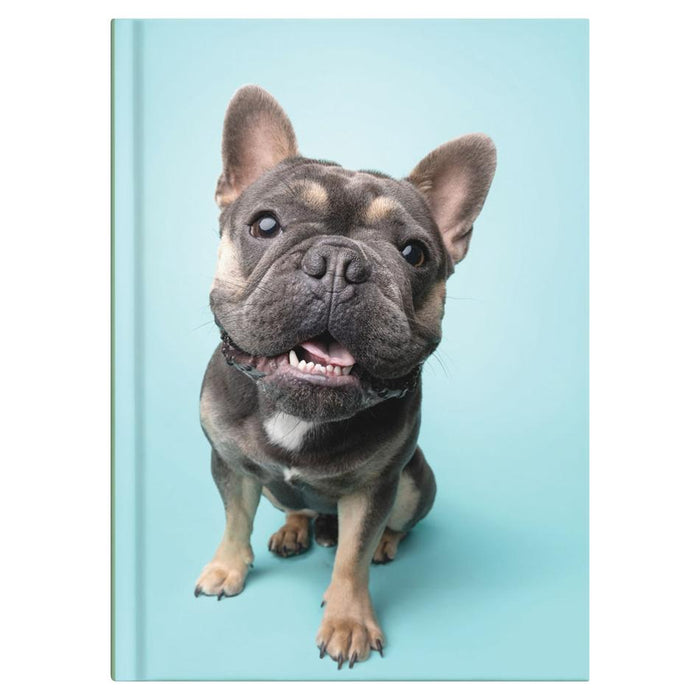 Collins A5 Cats & Dogs Journal - Undated Daily, Hard Cover_3