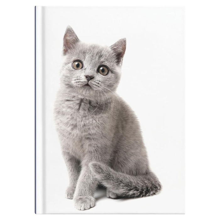 Collins A5 Cats & Dogs Journal - Undated Daily, Hard Cover_4