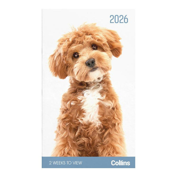 Collins Diary Slim Cats & Kittens 2 Weeks to View 2026 11296186_4