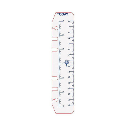Debden Personal Dayplanner Today Ruler, Pack of 2 CDPR2008_2
