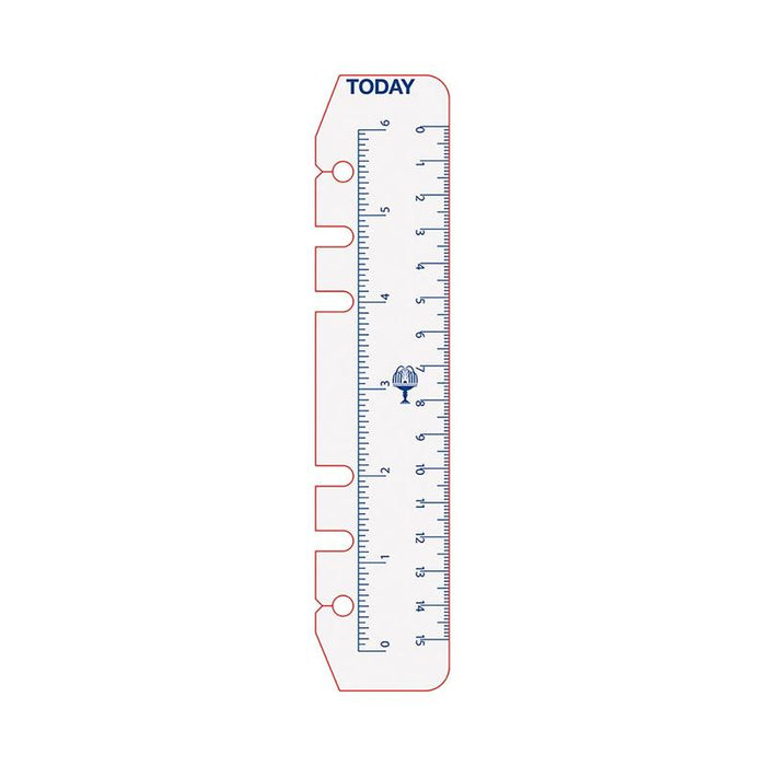Debden Personal Dayplanner Today Ruler, Pack of 2 CDPR2008_2