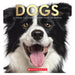 Dogs: A Visual Catalog of More Than 100 Breeds_1