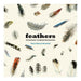 Feathers Of Aotearoa: An Illustrated Journal_1