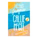 First Summer Of Callie McGee_3