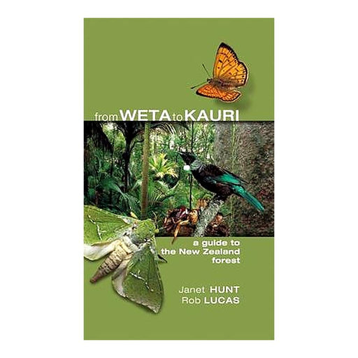 From Weta To Kauri A Guide To The Nz  Tp_1