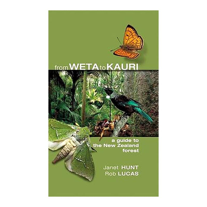 From Weta To Kauri A Guide To The Nz  Tp_1