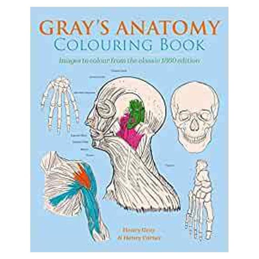 Grays Anatomy Colouring_1
