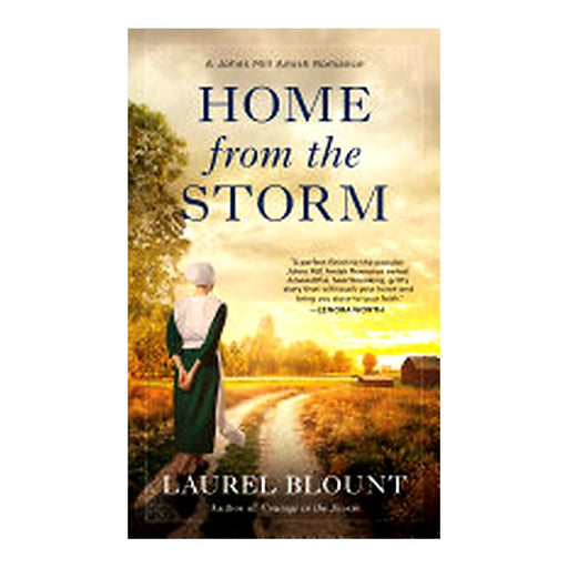 HOME FROM THE STORM_1