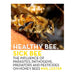 Healthy Bee, Sick Bee_1