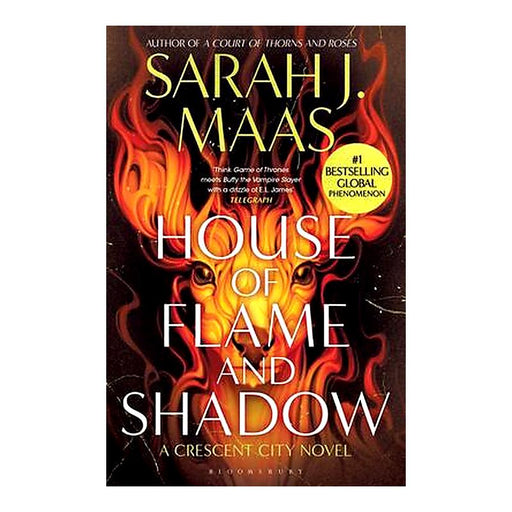 House Of Flame And Shadow_1