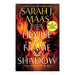 House Of Flame And Shadow_1