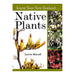 Know Your New Zealand Native Plants_1