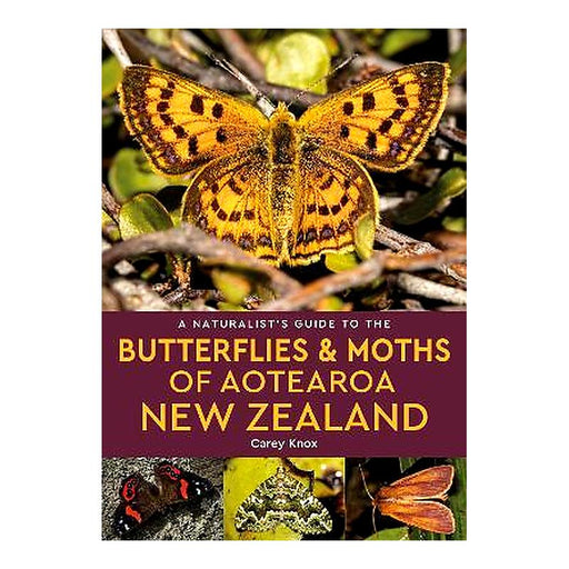 Naturalist's Guide to the Butterflies & Moths of Aotearoa New Zealand_1