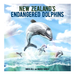 New Zealand's Endangered Dolphins_1